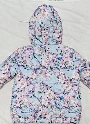 Куртка звездочка на девочку, 110 см 2