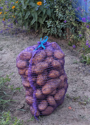 Продам домашнюю крупную картошку (белая роса/словеска). сетка18- 20 кг.