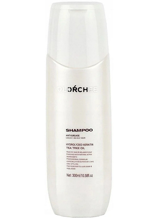 Шампунь для жирного волосся anti grease shampoo olorchee, 300 мл