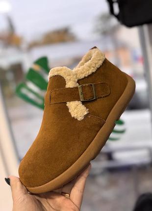 Черевики жіночі замшеві мюлі короткі уггі chestnut