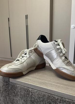 Кеди clarks