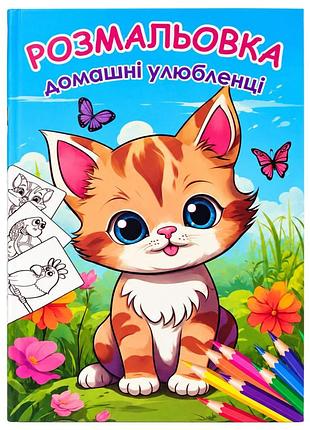 Детская большая раскраска домашние питомцы 12в-010-4 формат а4, 72 страницы