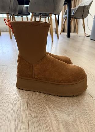 Ugg classic dipper