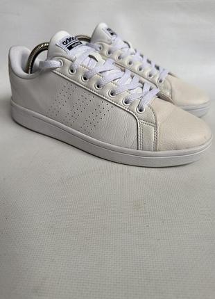 Кросівки adidas