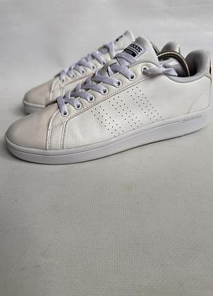 Кросівки adidas 2