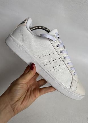 Кросівки adidas 6