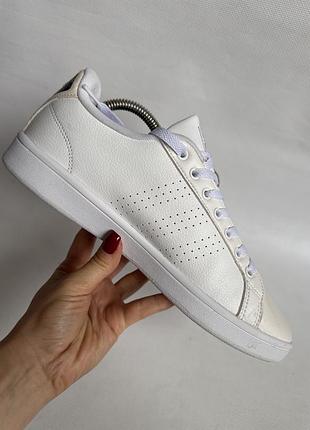 Кросівки adidas 7
