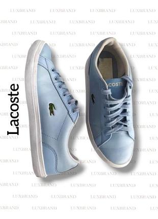 Сникеры кроссовки кеды lacoste
