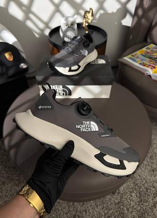 Чоловічі кросівки the north face vectiv enduris 4 gtx grey beige black