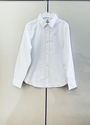 Біла базова сорочка h&m 128-134 розміру