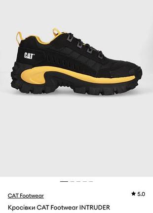 Кросівки cat footwear intruder