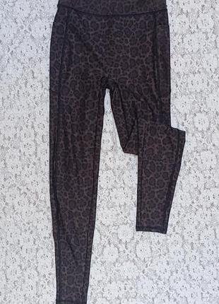 Леопардовые леггинсы лосины f&amp;f xs