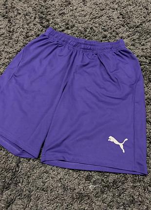 Спортивні шорти puma