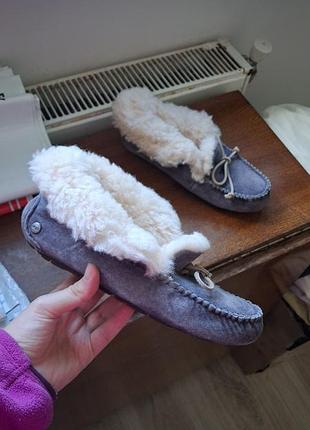 Угги - мокасины оригинал ugg 2