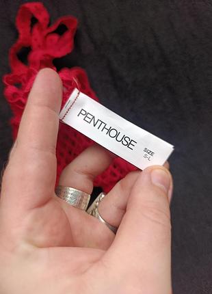 Еротичний костюм penthouse 3