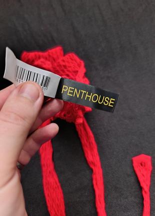 Еротичний костюм penthouse 5
