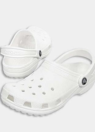 Белые классические кроксы /crocs шлепанцы/сабо