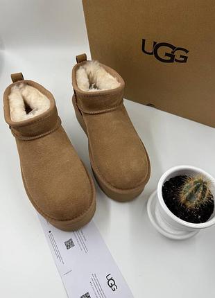 Черевики жіночі ugg classic ultra mini коричневі