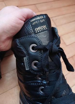 Чобітки ,дутики geox 6