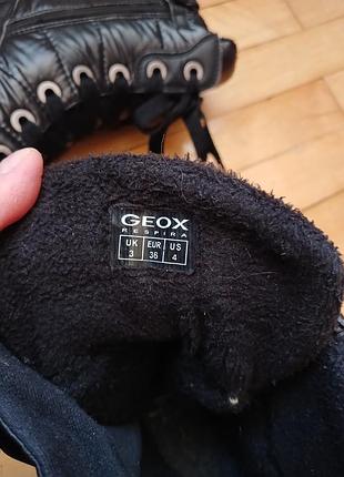 Чобітки ,дутики geox 7