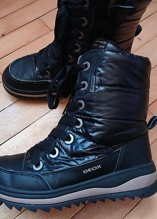 Чобітки ,дутики geox