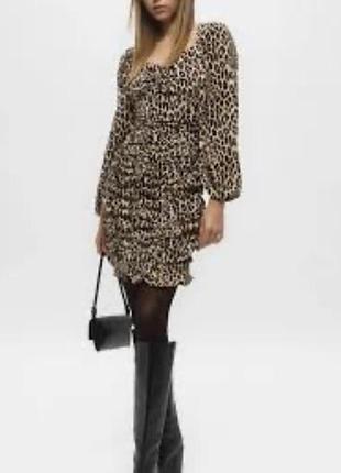 Плаття h&m