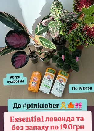 В наличии натуральный дезодорант лаванда розмарин arm jammer essential iherb айхерб