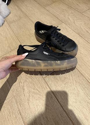 Кеди puma рідкісна модель