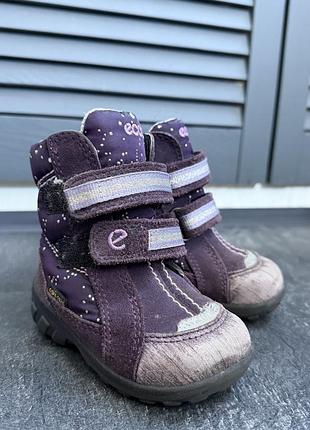 Зимові чобітки ecco gore-tex