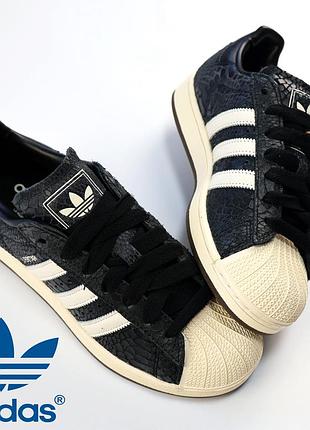 👾 кросівки adidas superstar