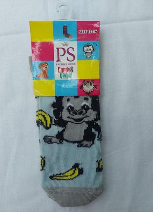 Носки детские premier socks 12-14 размер на 1-2 года
