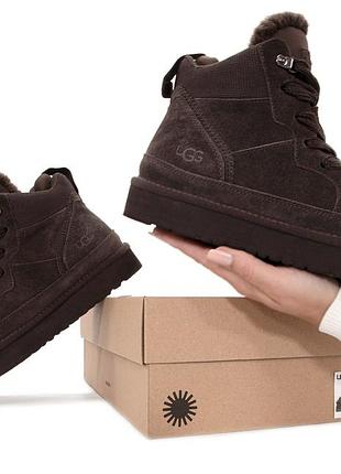 Ботинки зимние на меху женские ugg, сапоги угги uggs шоколадные