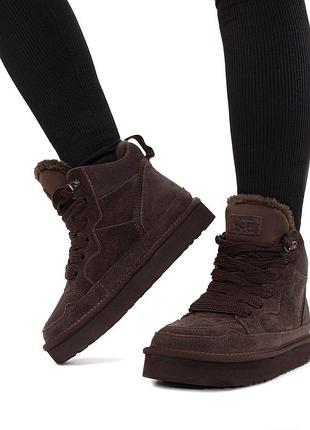 Ботинки зимние на меху женские ugg, сапоги угги uggs шоколадные