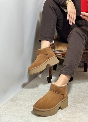 Черевики ugg