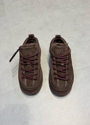 Жіночі черевики ugg кросівки 3