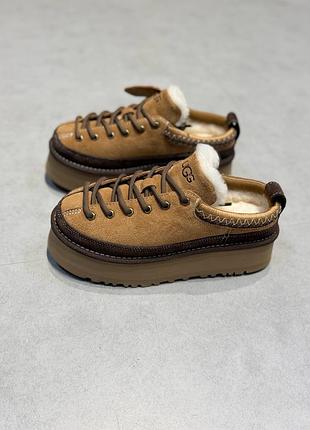 Жіночі черевики ugg кросівки 3