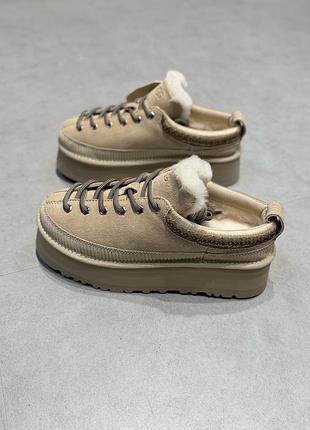 Жіночі черевики ugg кросівки