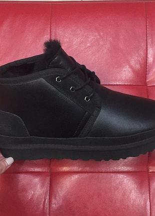 Черевики ugg чоловічі зі шнурівкою 43