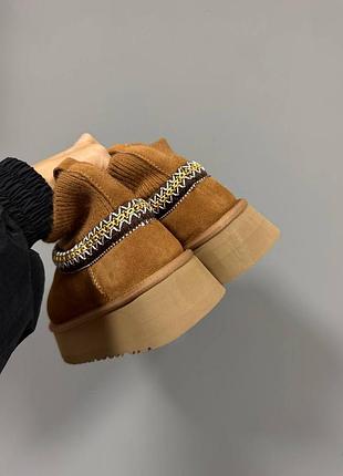 Ugg tazz sock |  chestnut premium 2