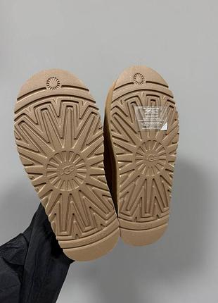 Ugg tazz sock |  chestnut premium 3