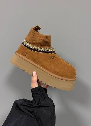 Ugg tazz sock |  chestnut premium