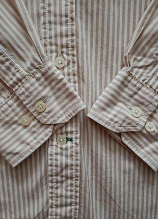 Мужская рубашка tommy hilfiger academy poplin 5