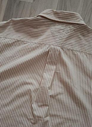 Мужская рубашка tommy hilfiger academy poplin 7