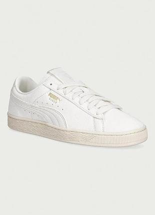 Urbanshop com ua pumasuede charles f. stead ii кроссовки женские замшевые бежевые 403701 размеры запитуйте