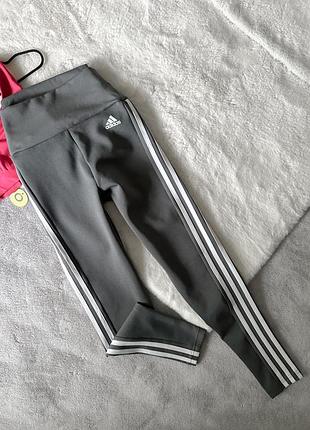 Серые плотные лосины adidas