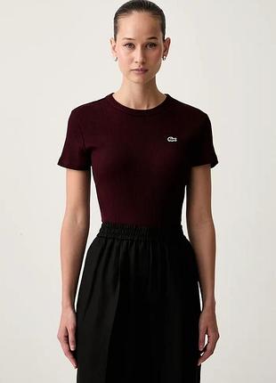 Urbanshop com ua lacosteфутболка женская хлопковая бордовая tf5538 размеры запитуйте