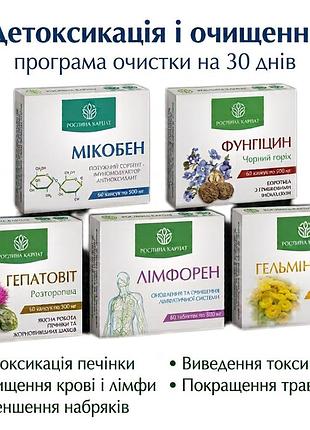 Очисна програма рослина карпат курс очистки і детоксу організму від шлаків у кишечнику лімфи печінки крові натуральний засіб
