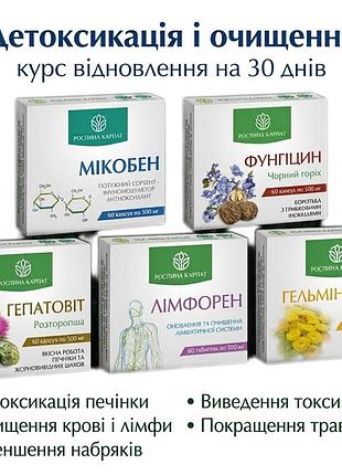 Детоксикація і очищення печінки травної системи виведення токсинів для ефективного очищення крові рослина карпат курс сорбент