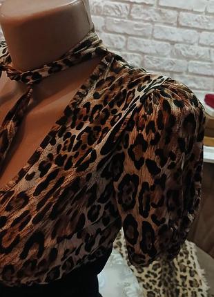 Леопардова кофта,блуза з шарфом 3