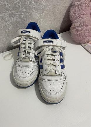 Кеди жіночі adidas білі з синіми смужками